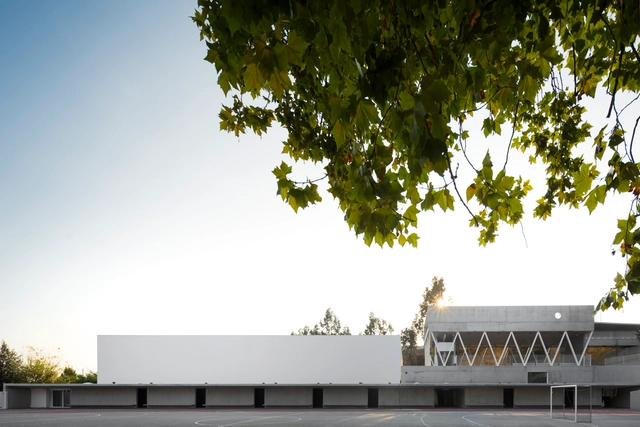 Basic And Secondary School Of Sever Do Vouga / Pedro Domingos Arquitectos - Escuelas