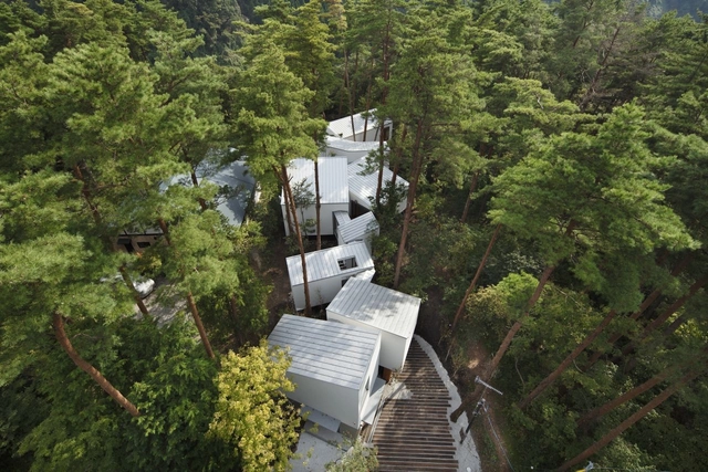 日本大仙住宅 / Keisuke Kawaguchi+K2-Design - 住宅