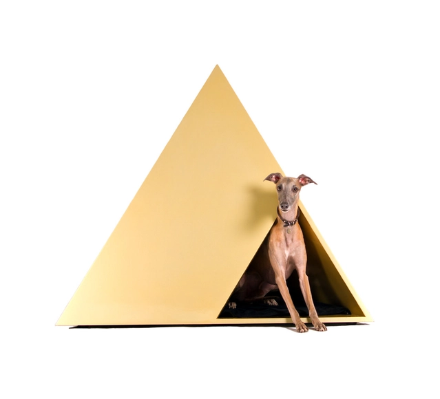 Arquitectos mexicanos reinventan la arquitectura de mascotas con estas casas para perros - Otros