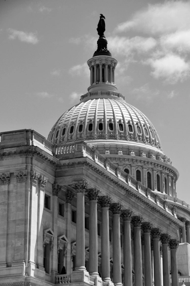 Help Stop the 2030 Repeal - Featured Image