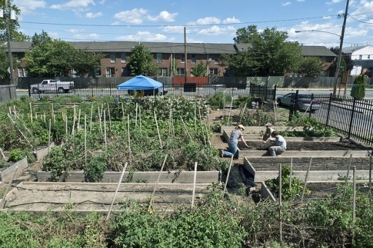 A agricultura urbana como ferramenta de desenvolvimento urbano - Imagem de Destaque