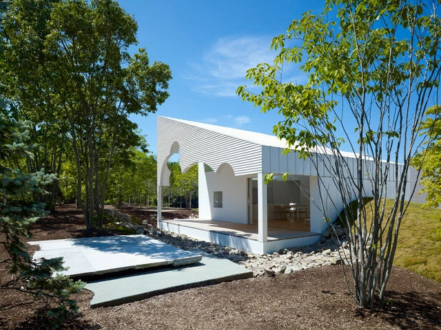 Bosque en el Espacio / Hiroyuki Arima + Urban Fourth - Casas
