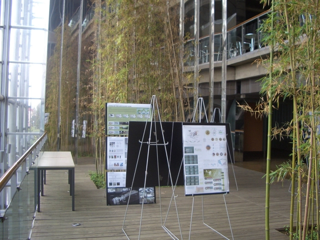 AD Architecture School Guide: The University of Hong Kong - Featured Image