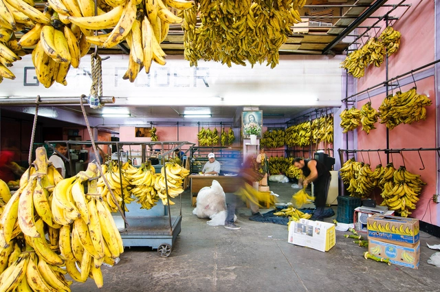 Fotografia e Arquitetura: Moritz Bernoully - Imagem de Destaque