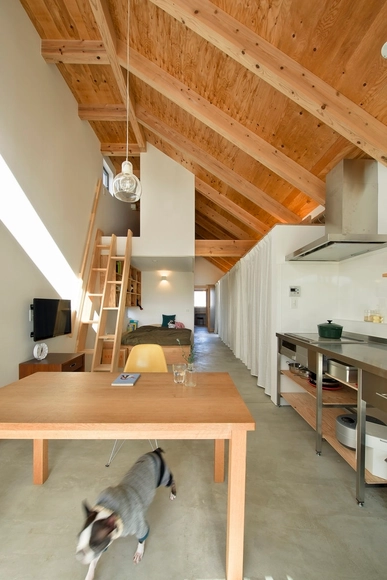 Dogsalon / Naoko Horibe - Casas
