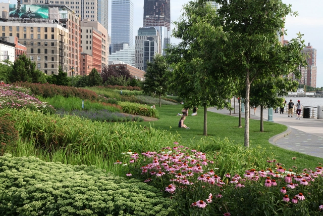 Projetos de paisagismo em tempos de mudanças climáticas - Arquitetura Paisagística