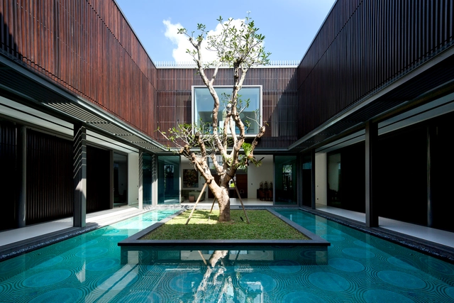 Vivienda del Árbol Centenario / Wallflower Architecture + Design - Casas