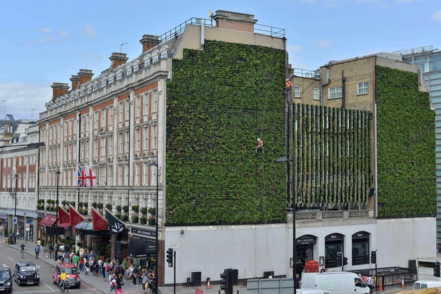 London's Largest "Living Wall" / Gary Grant - Featured Image