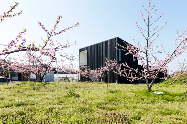 Casa patio en Peach Garden / Takeru Shoji Architects - Casas