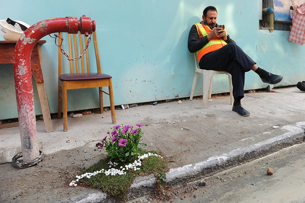 Buracos em ruas e calçadas transformados em pequenos jardins - Imagem de Destaque