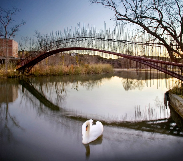 Ponte para pedestres / Miró Rivera Architects - Pontes