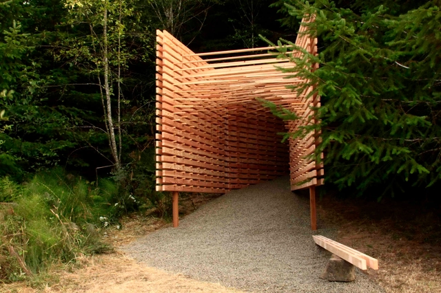 AA Students "Amplify the Forest" - Featured Image