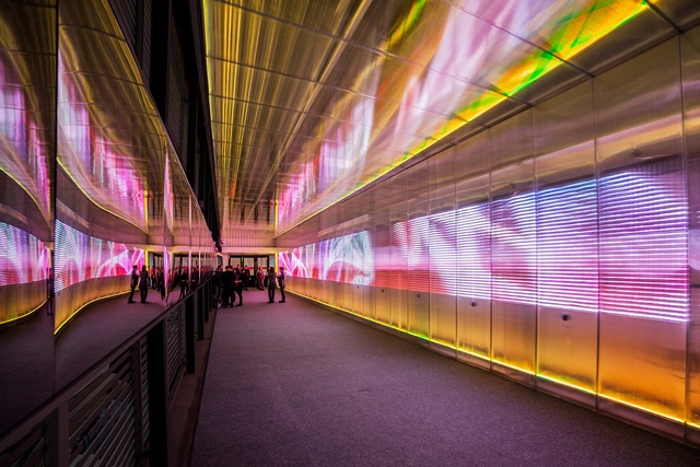 Pixel Corssing: tunel sensorial por Miguel Chevalier - Imagen Principal