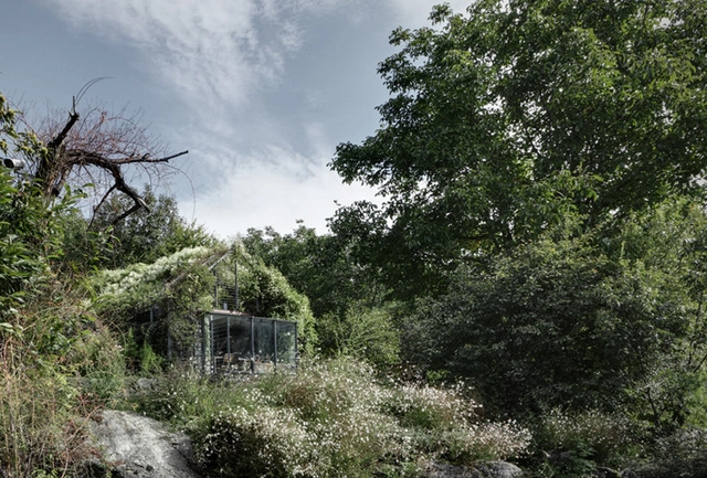 Green Box – un refugio verde consumido por la vegetación / Act Romegialli - Imagen Principal