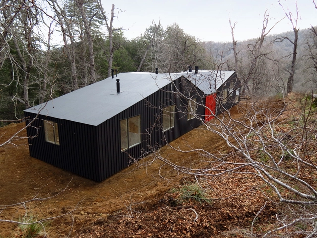 Casa MR / MAPAA - Casas, Bosque