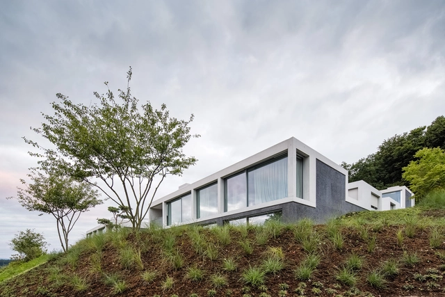 4 Casas con patio  / Think Architecture - Casas