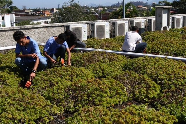 Colégio público do Rio de Janeiro é a primeira escola sustentável certificada da América Latina - Imagem de Destaque