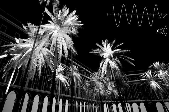 25 propuestas seleccionadas y 1 propuesta ganadora para la iluminación en la Plaza Reial de Barcelona: PALMERES por Pablo Martinez  - Imagen Principal