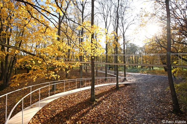 "Um caminho na floresta", por Tetsuo Kondo Arquitectos - Arquitetura Paisagística