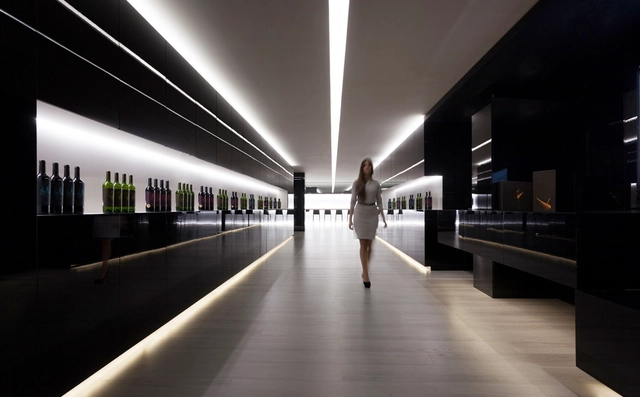 Cave de Vinhos Vegamar Selección  / Fran Silvestre Arquitectos - Design De Interiores