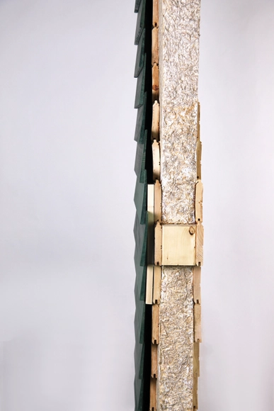 Insulation Grown From Fungi - Featured Image