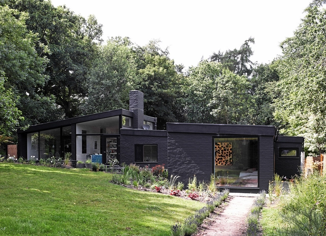 Claro en el Bosque / Takero Shimazaki Architecture  + Charlie Luxton - Renovación
