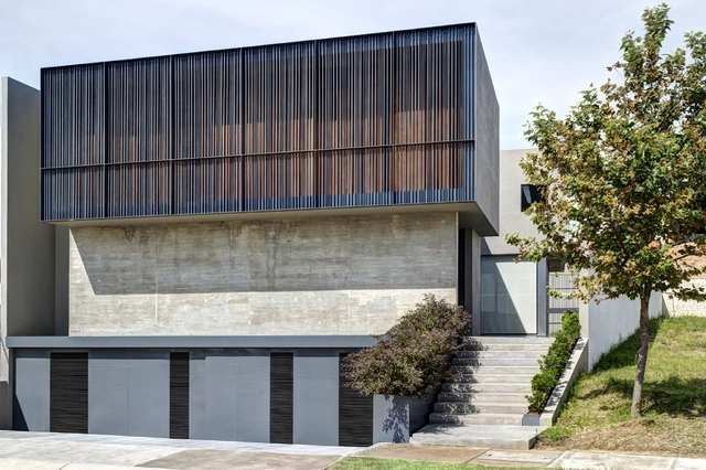 DTF House / Elías Rizo Arquitectos - Houses, Facade