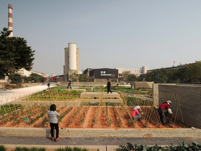 Value Farm / Thomas Chung - Community , Garden