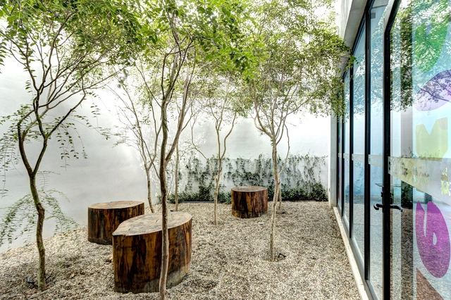 Punto Surf / Elías Rizo Arquitectos - Recreation & Training
