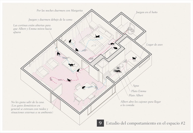 Proyecto de Arquitectura para Gatos / Oficina Informal - Imagen Principal