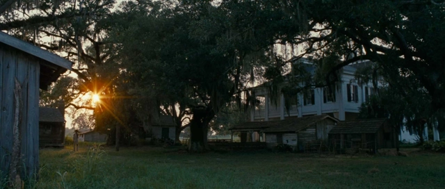Steve McQueen: A Master of Architecture in Film - Featured Image