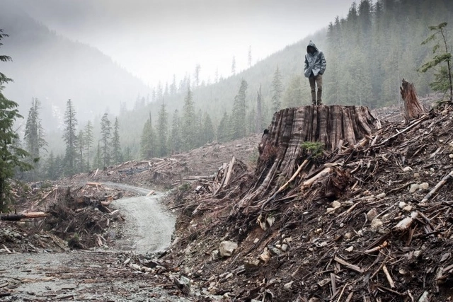 Think Space Launches Latest Competition: Environment / Subtraction - Featured Image