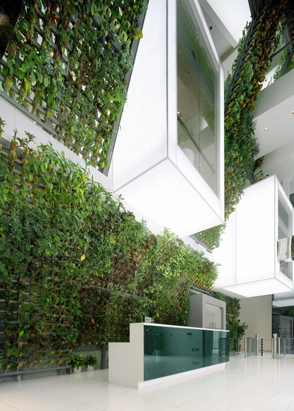 Renovación de las Oficinas TYJ  / Shenzhen Ingameoffice Ltda - Renovación
