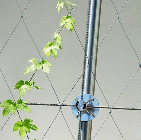 En Detalle: Jardines Verticales - Imagen Principal