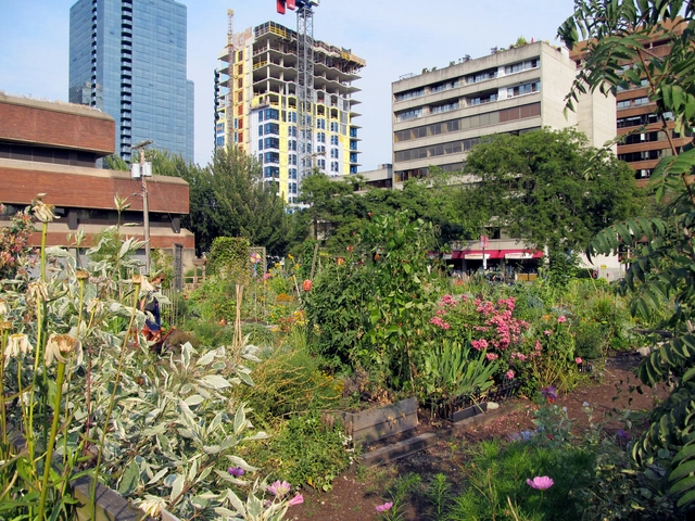 7 ideias para revitalizar os terrenos baldios das cidades - Imagem de Destaque