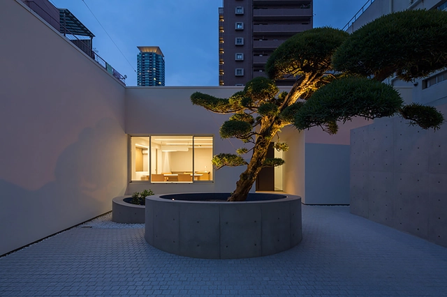 Casa con árbol Podocarpus / Yasutoshi Mifune + Toru Atarashi - Casas