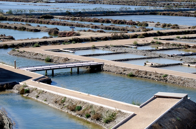 Arquitectura y Paisaje: campos de sal "La Tancada" convertidos en un paisaje líquido por EMF - Paisaje Y Arquitectura