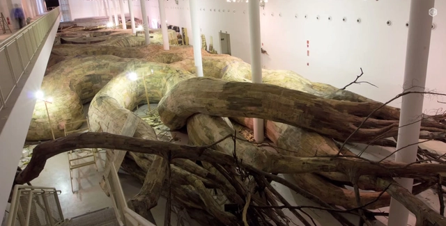 Brazilian Artist Builds Labyrinth of Wooden Roots - Cultural Architecture