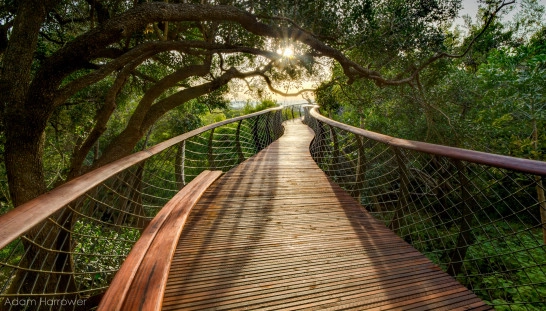 Em imagens: uma impressionante passarela elevada na África do Sul - Imagem de Destaque