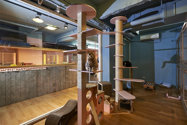 Petaholic Hotel / sms design - Animal Shelter