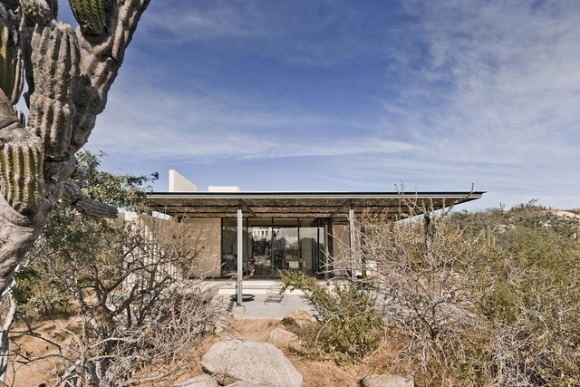 Zacatitos 02 / Campos Leckie Studio - Casas