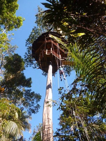 Treehouse Lodge: Imponentes estructuras de madera para adentrarse en la selva amazónica del Perú - Imagen Principal
