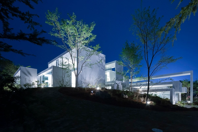 Cosmic / UID - Casas