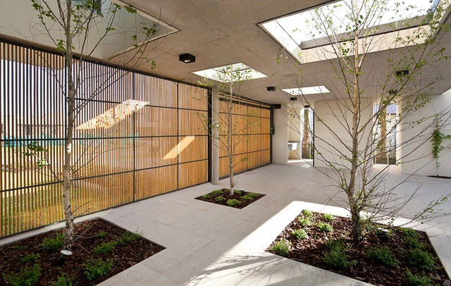 Casa Pedro / VDV ARQ - Casas