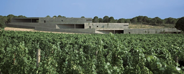Terra Remota Winery / Untaller - Warehouse, Garden