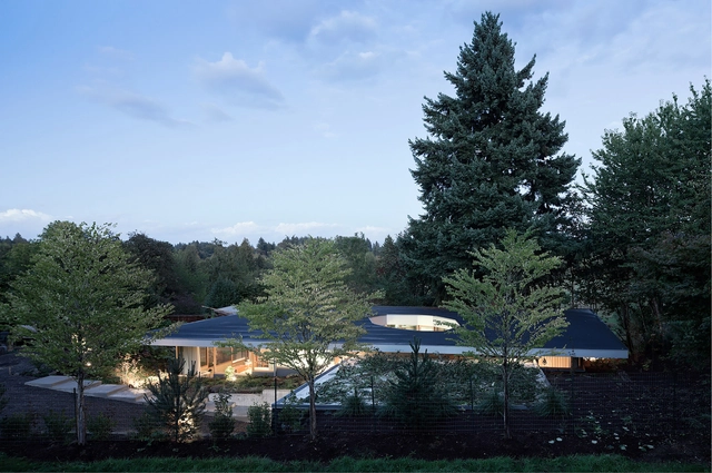 Casa Patio / NO ARCHITECTURE - Casas