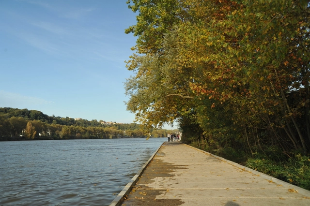 Paisaje y Arquitectura: Rives de Saône, sendero por la ribera del río que conecta naturaleza y ciudad / BASE - Paisaje Y Arquitectura