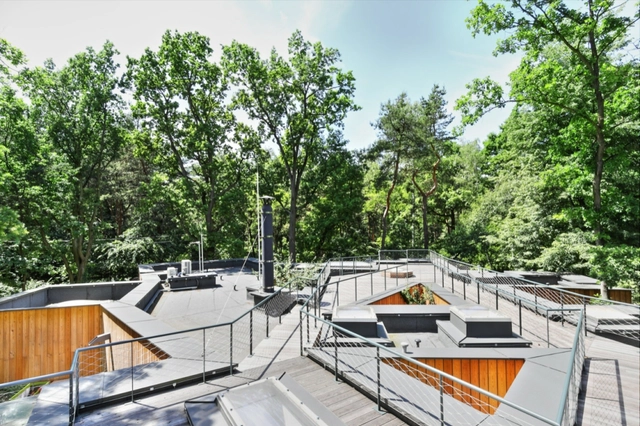 Podkowa House / Jakub Szczęsny + Ryszard Szczęsny - Houses, Facade, Forest