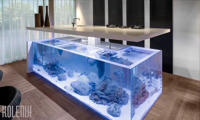 Island with a View: Dutch Kitchen Incorporates Elegant Aquarium  - Featured Image