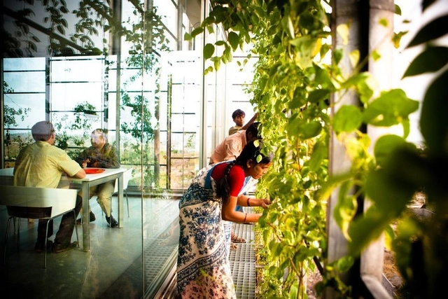 UIA World Congress Reveals Architecture's Other Side - Featured Image